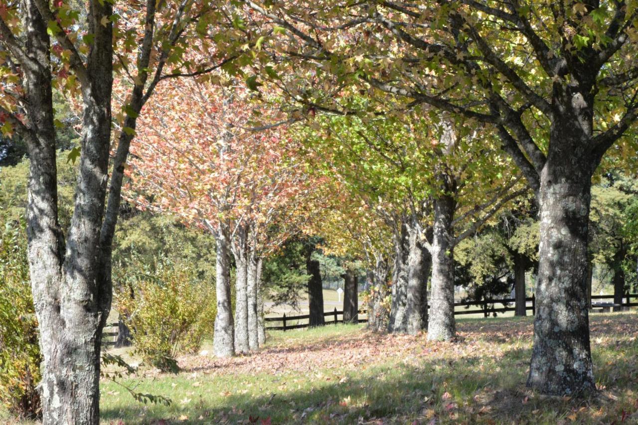 Hotel De Campo La Cumparsita Tacuarembó Esterno foto